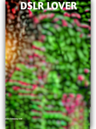 Dslr lover cb background for editing