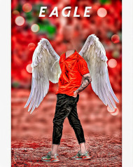 Eagle hd cb backgrounds free