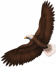 eagle png image with transparency download