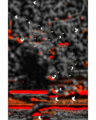 editing picsart background images editing movie poster background