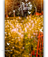 Editor cb background photoshop