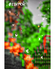 Editor cb editing background