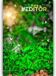 Editor cb editing background