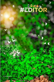 Editor cb editing background hd