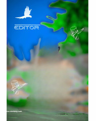 Editor cb editing backgrounds free