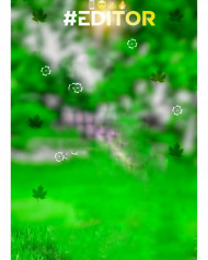 Editor cb photo editing background