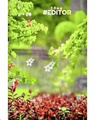 Editor cb photo editing background