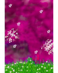 Editor hd cb editing background