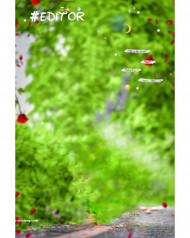 Editor hd cb editing background