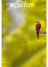 Editor hd cb editing background Snapseed