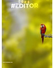 Editor Trending Cb editing Bcakground