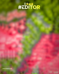 Editors cb editing background,Picsart new cb editing background