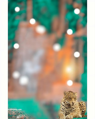 Ek editor full hd cb editing background