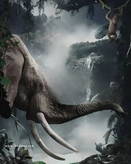 Elephant cb editing background free download