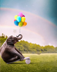 elephant editing background