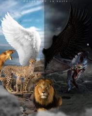 Engle and devil background picsart and photoshop