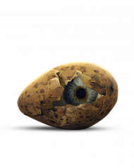 Eye in egg transparent png ,Egg editing png