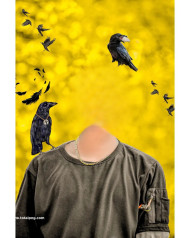 Face cut crow HD CB Editing Background