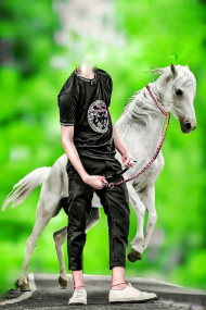 Facecut cb editing background with horse
