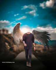 Facecut wing photoshop cb editing background