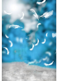 Feather hd cb editing background snapseed