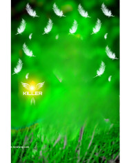 Feathers cb background by totalpng