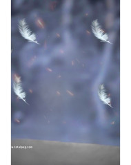 Feathers cb background free download