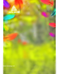 Feathers cb editing background new