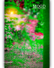 Feel the song photoshop hd cb background