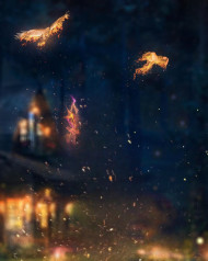 Fire birds hd editing backgrounds