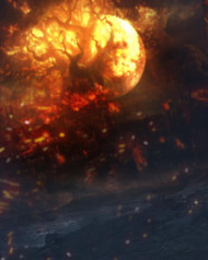 Fire hd editing backgrounds