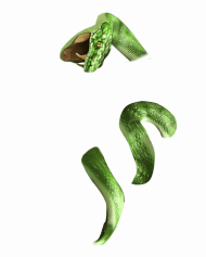 FIRE VS SNAKE VISHAL FIGHTING FOR PICSART WITH PHOTOSHOP PHOTO EDITING BACKGROUND DOWNLOAD 2 1229x1536