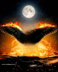 Fire wing hd cb backgrounds