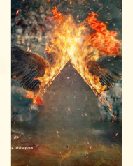 Fire wings cb background free download