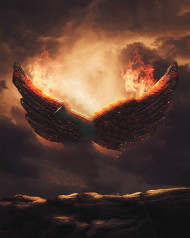 fire wings editing background
