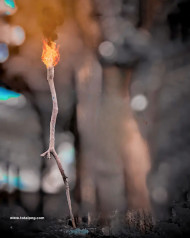 Fire wood cb edits background full hd download