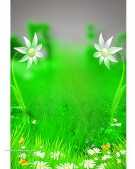 Flowers CB Background download