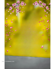 Flowers cb background hd full size 4k