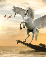 Flying horse hd editing background