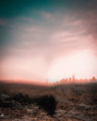 Forest Blur NSB Pictures Background Download   1080x1350