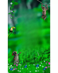 Forest photoshop cb editing background