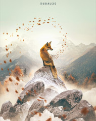 Fox  photoshop editing background