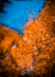 free Cb editing background download (2)