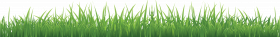 free png download grass hd png images background pn (3)