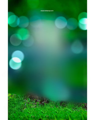 Full Hd Bokeh Photo Editing Background Nature