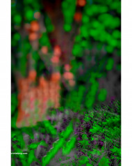 Full hd cb editing background