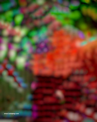 Full hd cb editing background