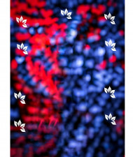 Full hd cb editing background