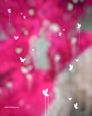 Full hd cb editing background download