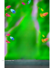 Full hd cb editing background download